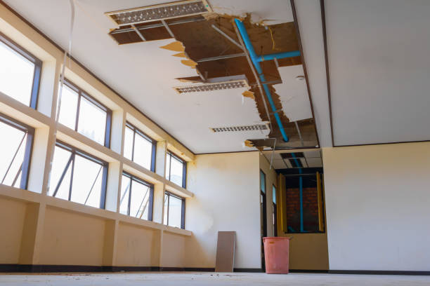Best Mold removal after water damage  in Marthasville, MO