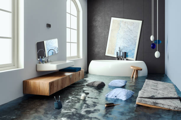 Best Water damage cleanup near me  in Marthasville, MO