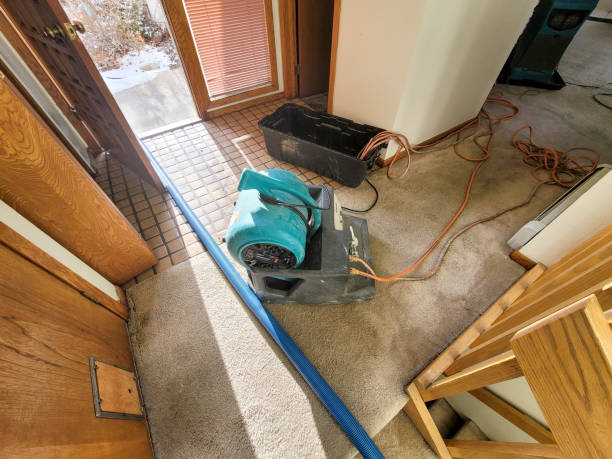 Best 24/7 water damage repair  in Marthasville, MO