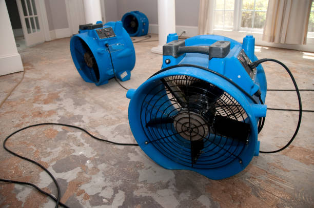 Best Commercial water damage restoration  in Marthasville, MO